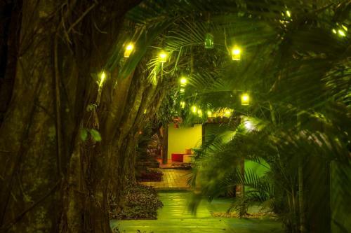 Hostal Pousada Carand� Bonito