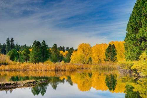 Glaze Meadow 7
