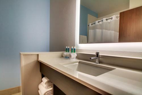 Hotel Holiday Inn Express & Suites - Summerville