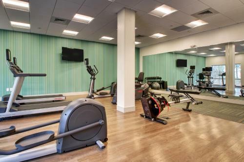 Hotel Holiday Inn Express & Suites - Summerville