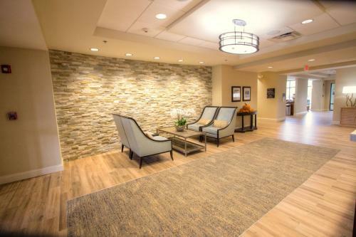 Hotel Hampton Inn & Suites Braselton