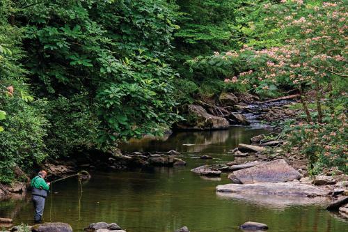 Pine Mountain State Resort Park