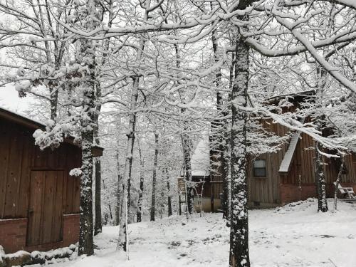 Norfork Lake Ozark Mountain Lodge