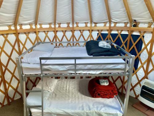 Lodge Lawson Adventure Park