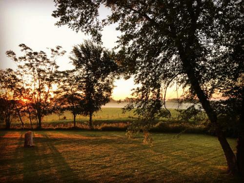Bed & Breakfast Netherfield Natural Farm