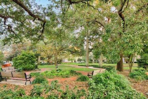 Savannah Cityscape