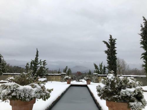 Hotel Domestique