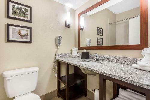 Hotel Comfort Suites At The University