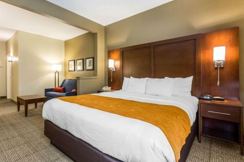 Hotel Comfort Suites At The University