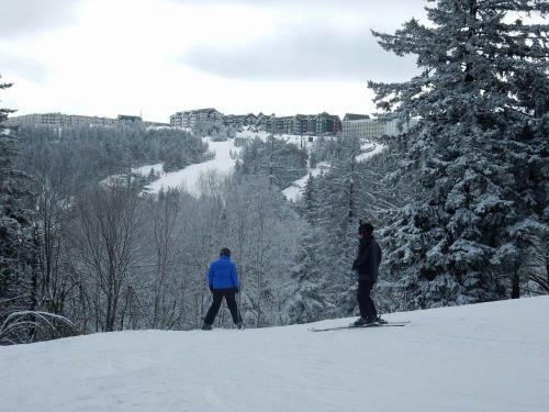 Powder Ridge #33