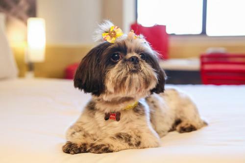 Hotel Ibis Maring�