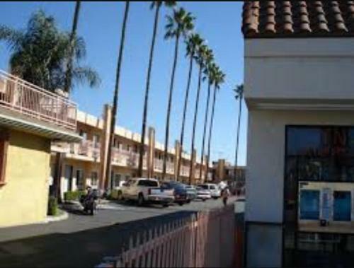 Motel Palm Tree Inn