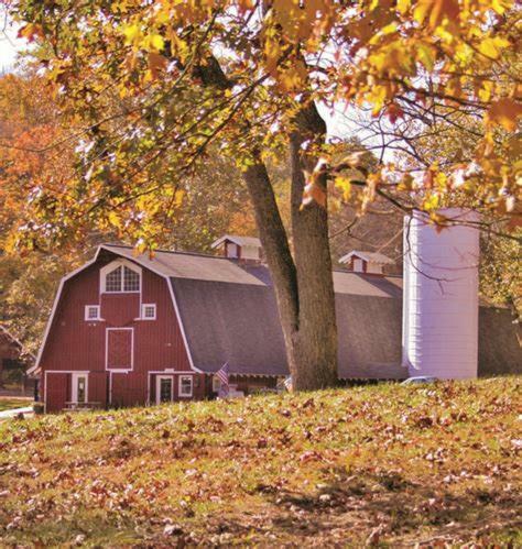 Agroturismo Wilstem Cabins