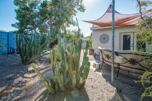 Cactus Cottage