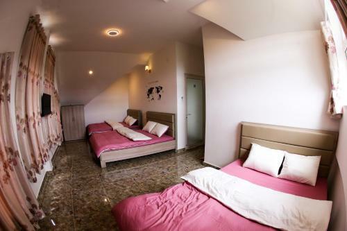 Bed & Breakfast Sakura Homestay