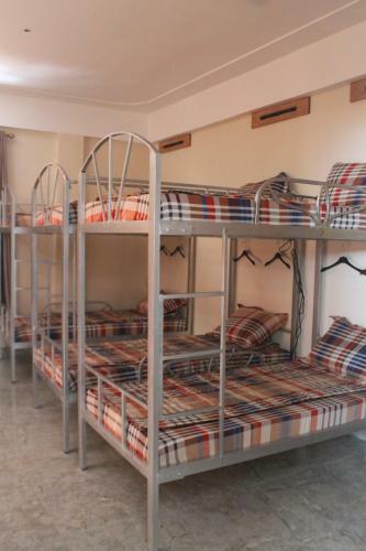Phong Nha Gecko Hostel