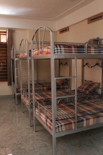 Phong Nha Gecko Hostel