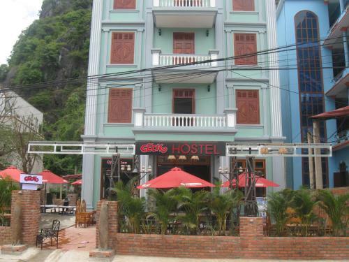 Phong Nha Gecko Hostel