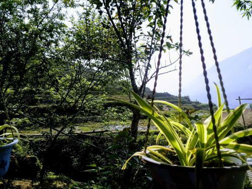 Surelee Homestay