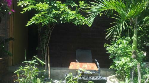 Agroturismo Vu Oganic Farmstay