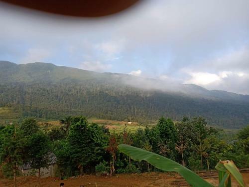 Bed & Breakfast Discover Y Ty Homestay