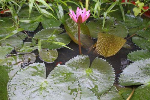 Hotel Tra Vinh Lodge