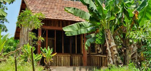 Hostal Spirit Garden Ecolodge