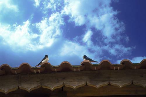 Toong Homestay