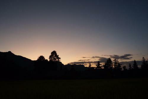 Toong Homestay