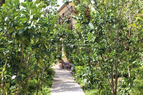 Nguyet Que Homestay