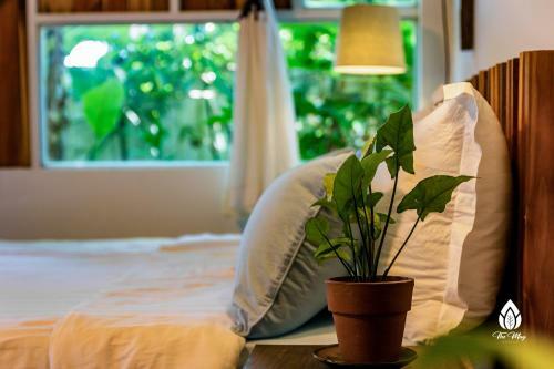 Hotel The May Garden Stay & Cafe