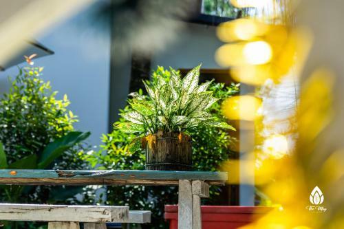Hotel The May Garden Stay & Cafe