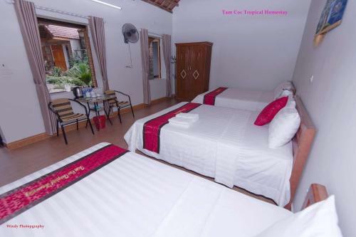 Tam Coc Tropical Homestay