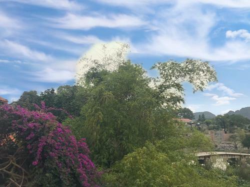 Bed & Breakfast Mom's Homestay