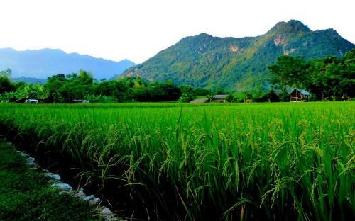 Mai Chau Sunset Boutique Hotel