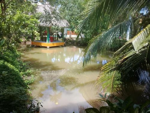 Hong Thai Homestay