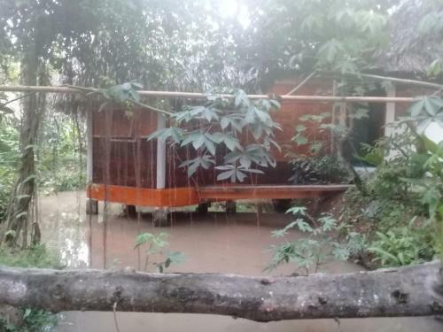 Hong Thai Homestay