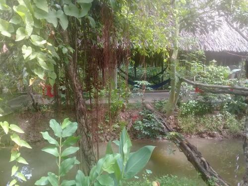 Hong Thai Homestay