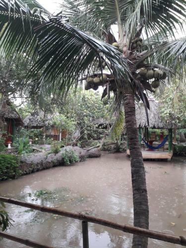 Hong Thai Homestay
