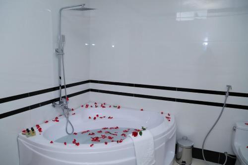 Hotel Van Kim Long
