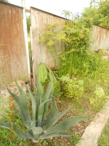 Hostal Guest House Na Myasnikova
