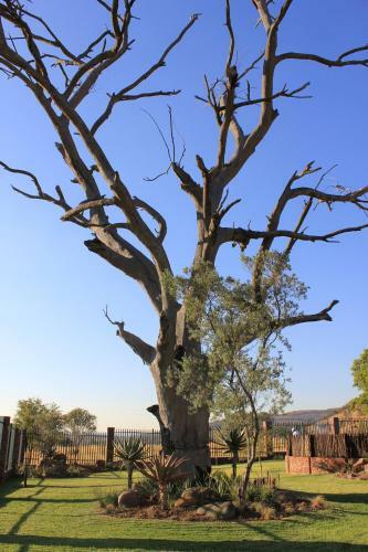 Zimbi Lodge