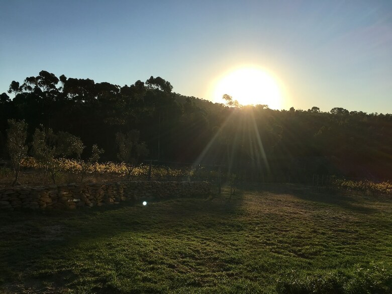 Bed & Breakfast Stellar Overberg Travellers Lodge