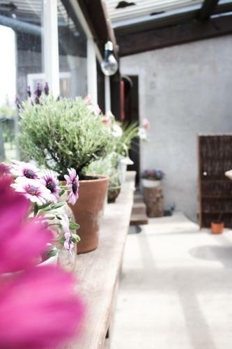 Apartamento Ferienwohnung Schwabenhof