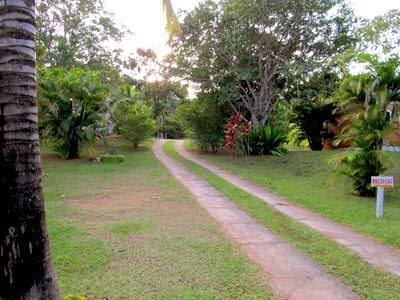Hotel Holiday House