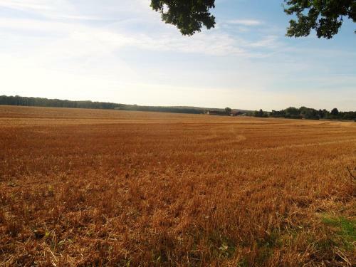 Bed & Breakfast Villa La Clef Des Champs