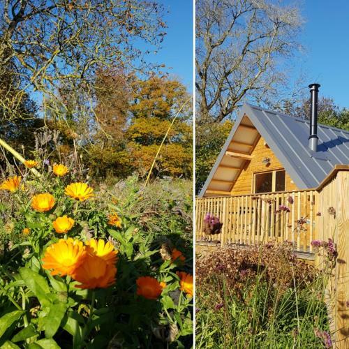 Bed & Breakfast Domaine de La Fauvriere