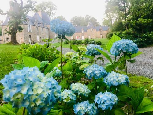 Bed & Breakfast Chateau De La Croix Chemin