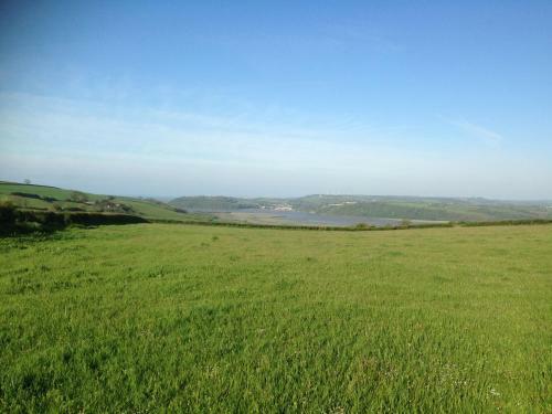 The Den, Carmarthen