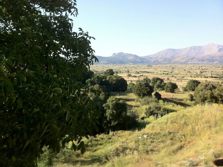 Hostal Dionyssos